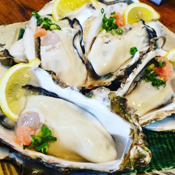 Oysters (raw or steamed)