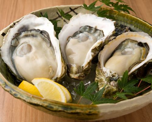 【殻牡蠣】　　岩牡蠣