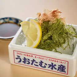 久高島直送!のーりーのぷちぷち海ブドウ