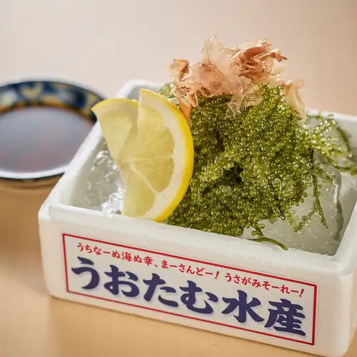 久高島直送!のーりーのぷちぷち海ブドウ