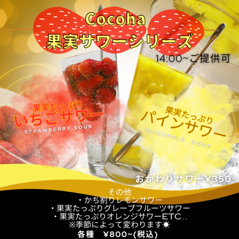 Cocoha Original Fruit Sour