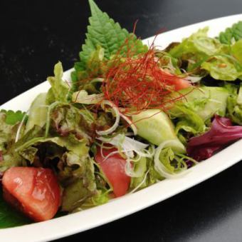 Vegetable salad / Choreogi salad / Radish salad / Caesar salad
