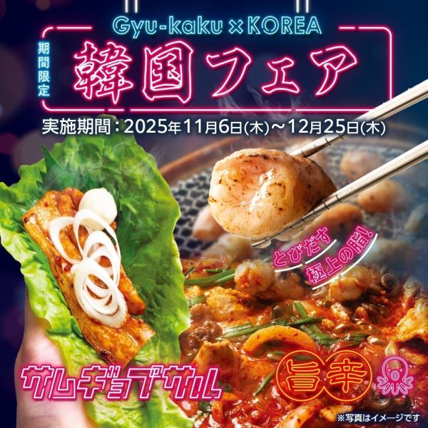 ≪11月6日～12月25日の期間限定≫Gyu-kaku×KOREA 韓国フェア開催！
