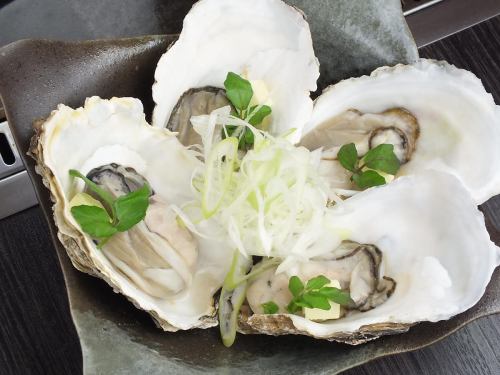 Hiroshima Prefecture Oysters