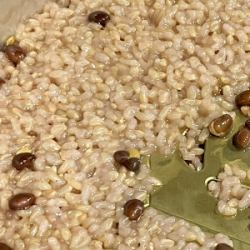 Enzyme brown rice (sold by weight in 100g units)