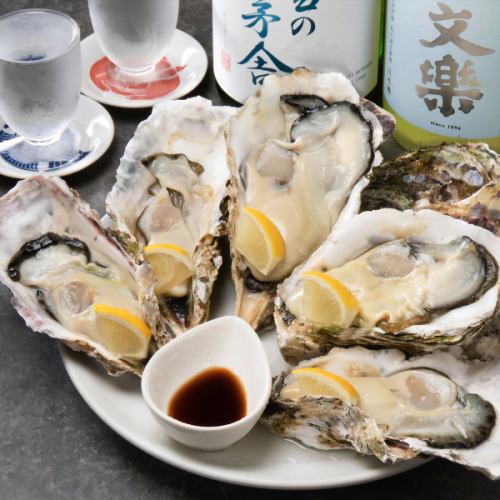 【お酒に合わせて楽しみたい！鮮度抜群♪】生牡蠣