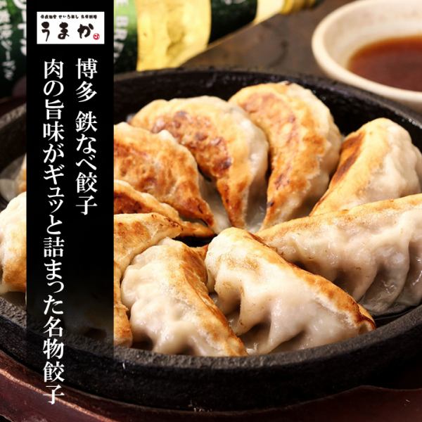 ≪博多铁锅饺子≫ 博多著名的饺子，外皮酥脆，里面多汁。