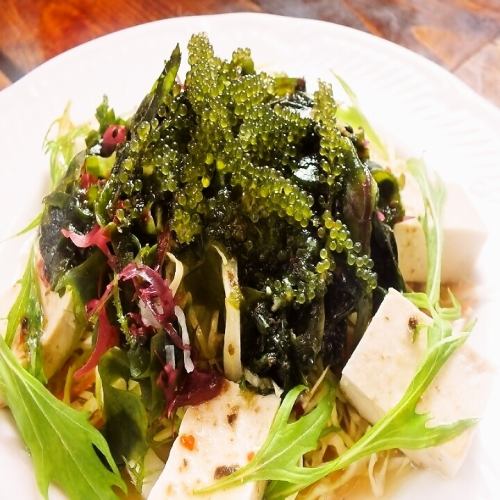 Seaweed salad with sea grapes