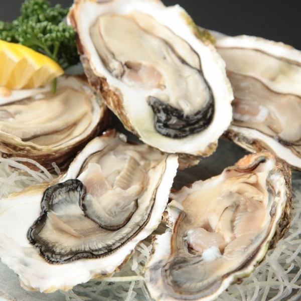 [Extremely fresh, delivered directly from the market] Plump raw oysters♪ <<Katsusei Kakiponzu>> 660 yen with 2 pieces!