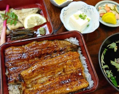 Grilled eel on rice set