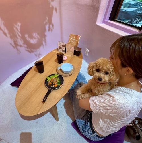 강아지 동반 OK 카페♪