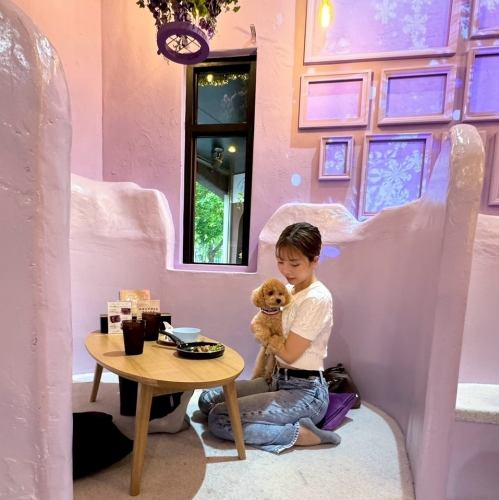 전세 환영♪완짱도◎