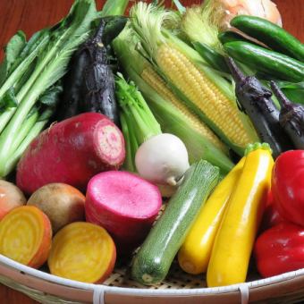 精选蔬菜的彩色沙拉