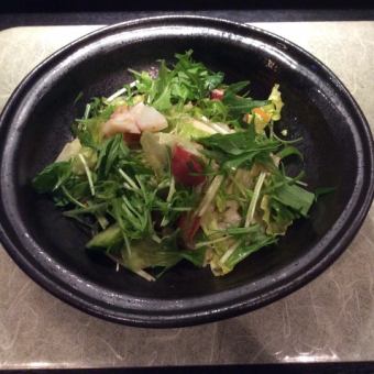 Mizuna Salad / Radish Salad