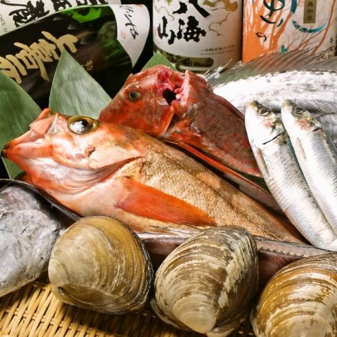 毎朝直接、職人自ら仕入れる鮮魚は一見の価値あり♪