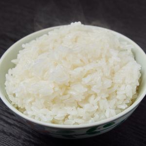 米飯 小/中/大