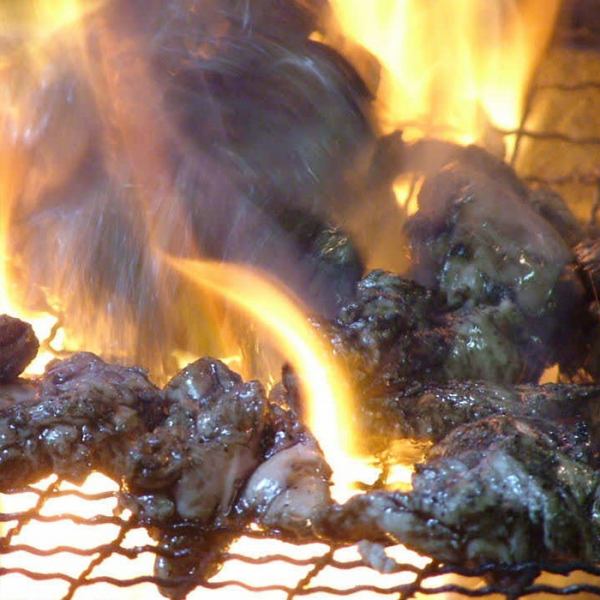 【炭火焼き鳥】知覧「朝引き鶏」を伝統の炭火焼で！
