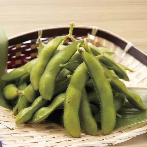 【産直】生もぎ枝豆 <茹で 又は 焼き>