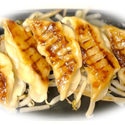 もやしとお友達ギョウザ