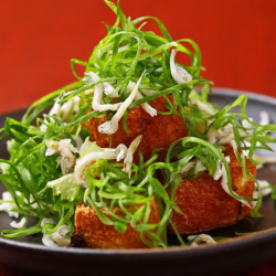 Thick fried tofu with whitebait and spring onions