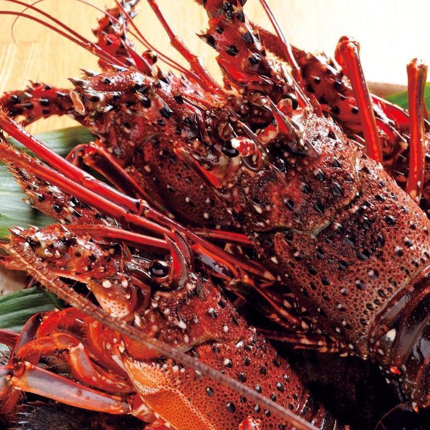 Enjoy live spiny lobster course from 4,000 yen! The legendary Monpa shrimp course from 5,000 yen!