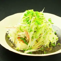 薬味冷奴