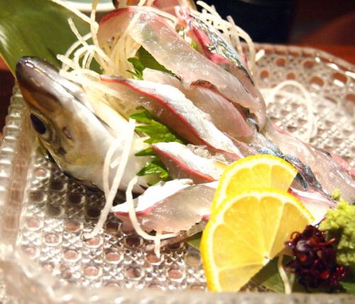 horse mackerel