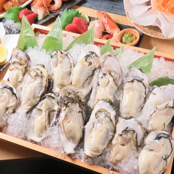 【鮮度抜群！旬の味を愉しむ！】牡蠣料理を堪能♪