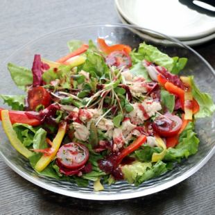 蒸し鶏と梅肉のサラダ