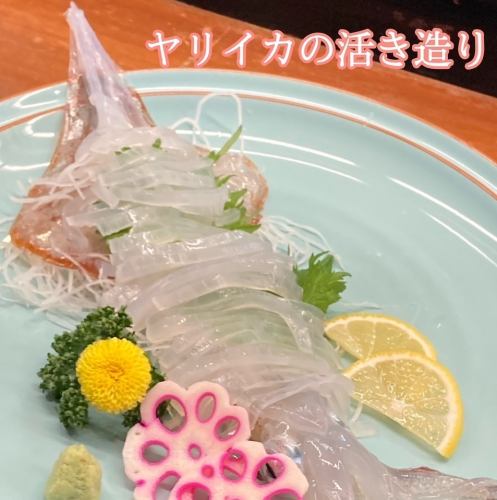 Ikizukuri of spear squid