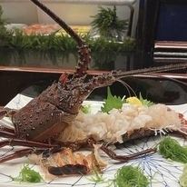 【小】伊勢龍蝦生魚片 9,790日圓