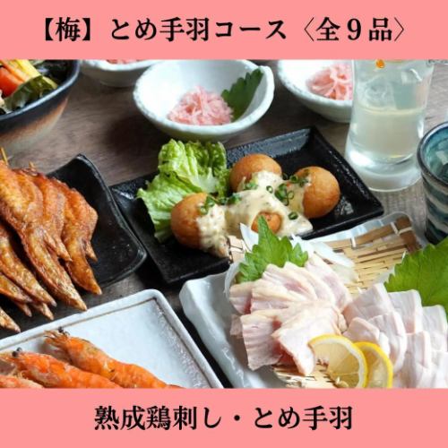 日～木限定【2時間飲み放題付】＜梅＞とめ手羽コース◆熟成鶏刺しなどを味わう［全9品］