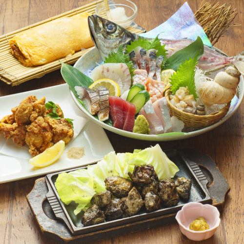 新鮮鮮魚と地鶏の居酒屋★志な乃亭