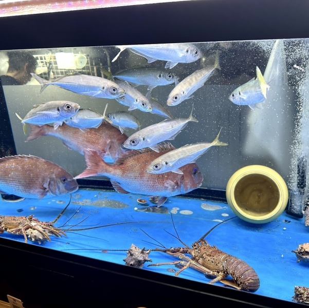 餐厅里有鱼缸！现场烹制极其新鲜的海鲜。请尽情享受奢华的时刻♪