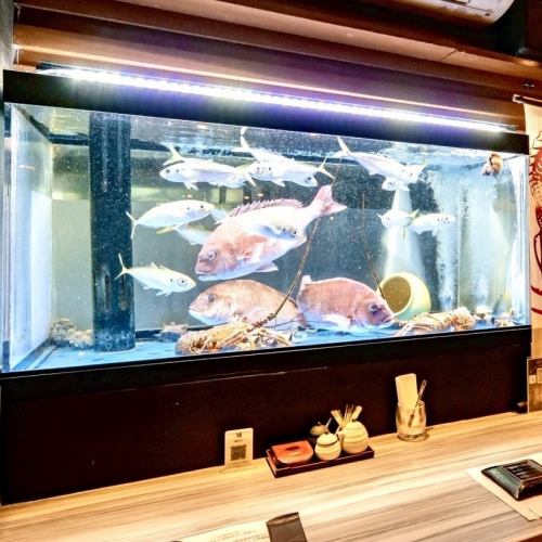 鮮度爆発!生け簀を完備◎