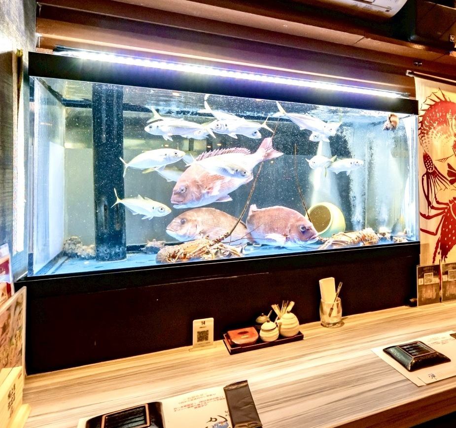 いけす完備で常に新鮮な海鮮を提供致します⭐︎
