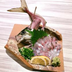 活きあじのお造り