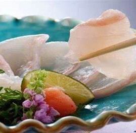 高級魚の中の高級魚！九州　天然くえ