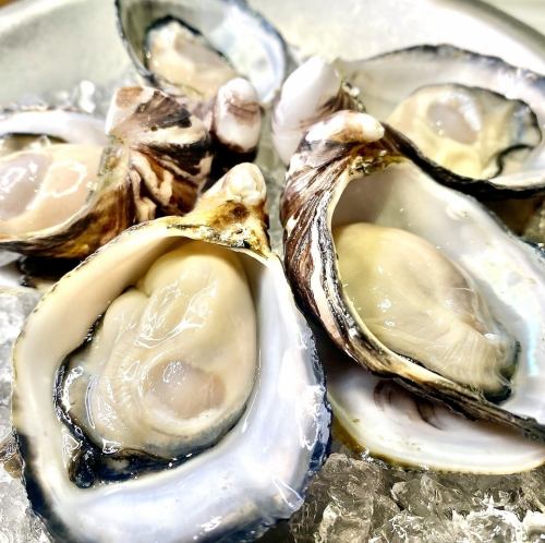 ＼HAPPYHOUR／生牡蠣5個【1000円】