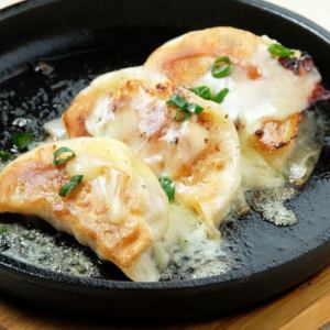 Hot iron plate cheese gyoza dumplings