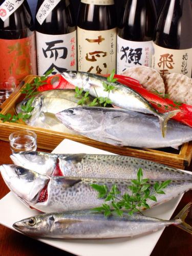 A morning caught fresh fish from the Izu Islands!