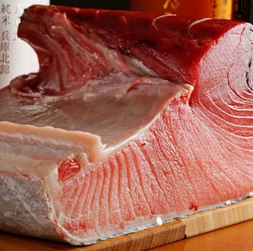 Tuna wholesaler's bluefin tuna [limited quantity]