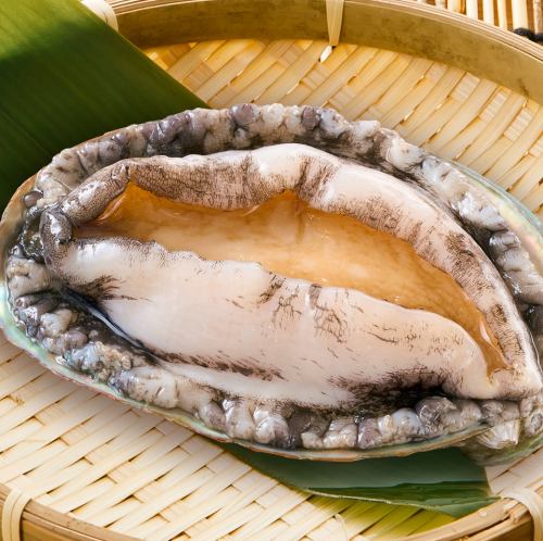烤活鲍鱼（1只）/烤活鲍鱼刺身