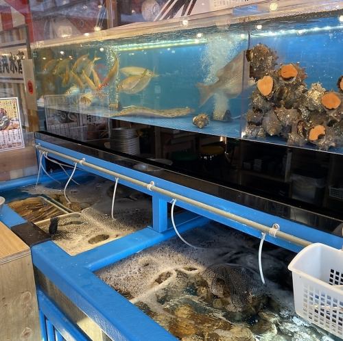 鮮度バツグンの海鮮類♪