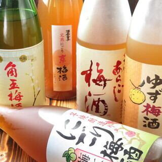 【僅限平日】Sakanova 120分鐘暢飲套餐!另有生啤酒供應! ◆ 2,800日圓(含稅)