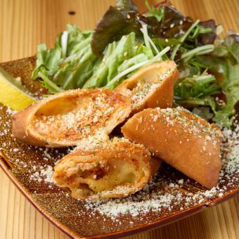 メキシカンスパイス春巻き