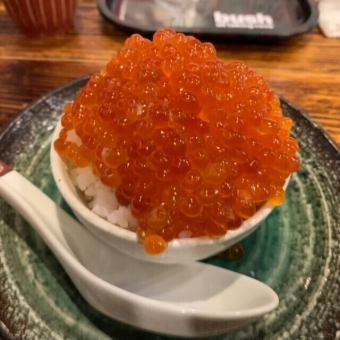 サカノバ名物！北海道イクラの突っ込み飯小サイズ～