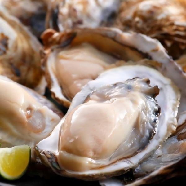 新鮮な漁港より直送殻付き牡蠣、旨みたっぷり絶品！赤字覚悟の160円～！