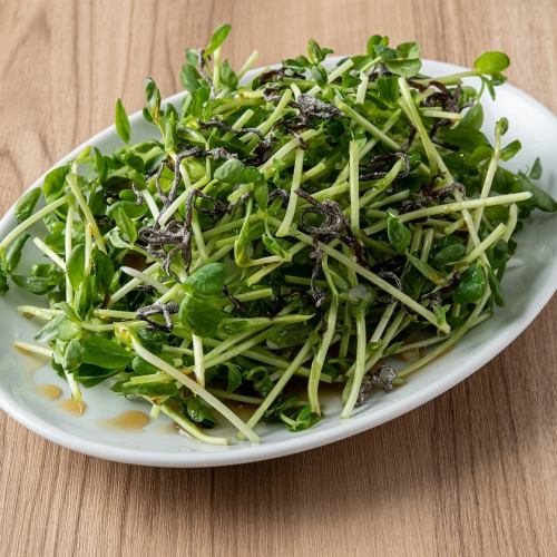 Pea sprout choregi salad