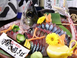 Direct delivery!! Sugatazukuri of Seki horse mackerel
